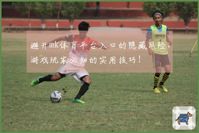 避开mk体育平台入口的隐藏风险，游戏玩家必知的实用技巧！